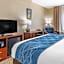 Comfort Inn Near Kokomo Speedway