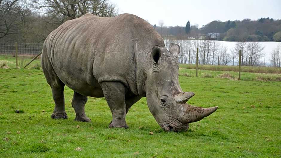 Holiday Inn Haydock By IHG