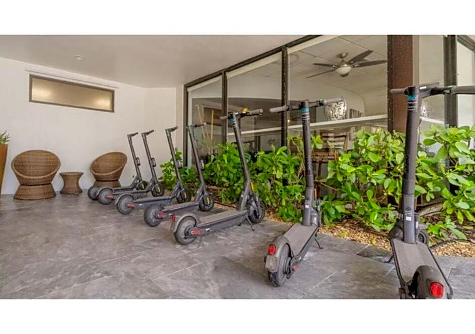 Discover the Charm and the Sea Gardens, an Exceptional Gold Coast Studio Condo Retreat - Special Offer Now!