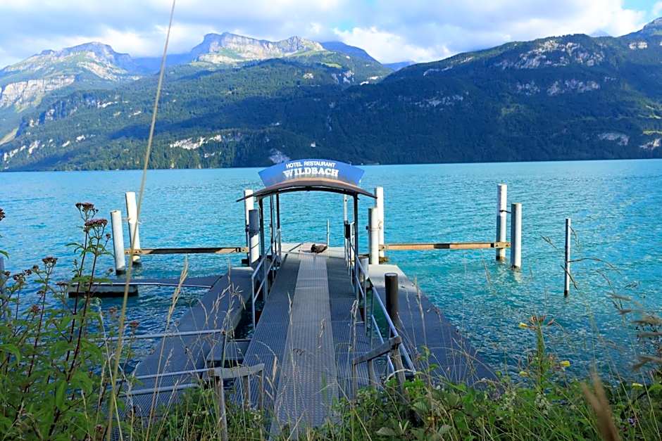 Hotel Wildbach Brienz