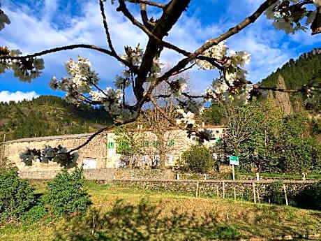Studio-de Luxe-Douche-Vue sur Montagne-avec mezzanine de lecture