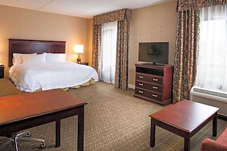 1 King Bed Studio Suite W/ Sofabed Nonsmoking