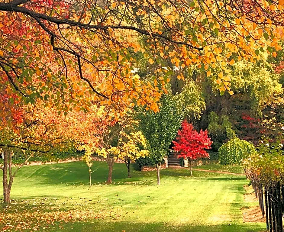 Chestnut Tree Holiday Units