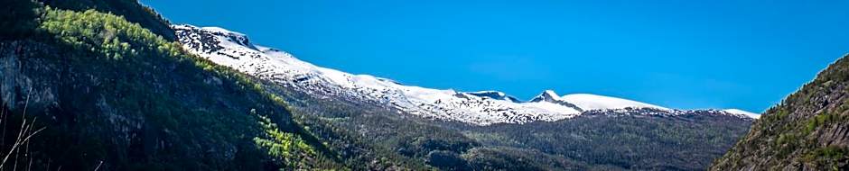 Gaupnetunet Hotell og Hytter