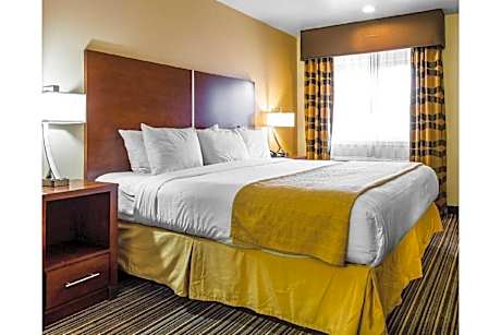1 King Bed | Suite, Non-Smoking