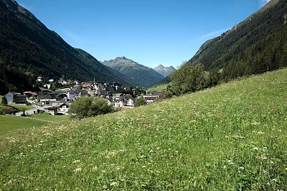 Alphotel Garni Salner