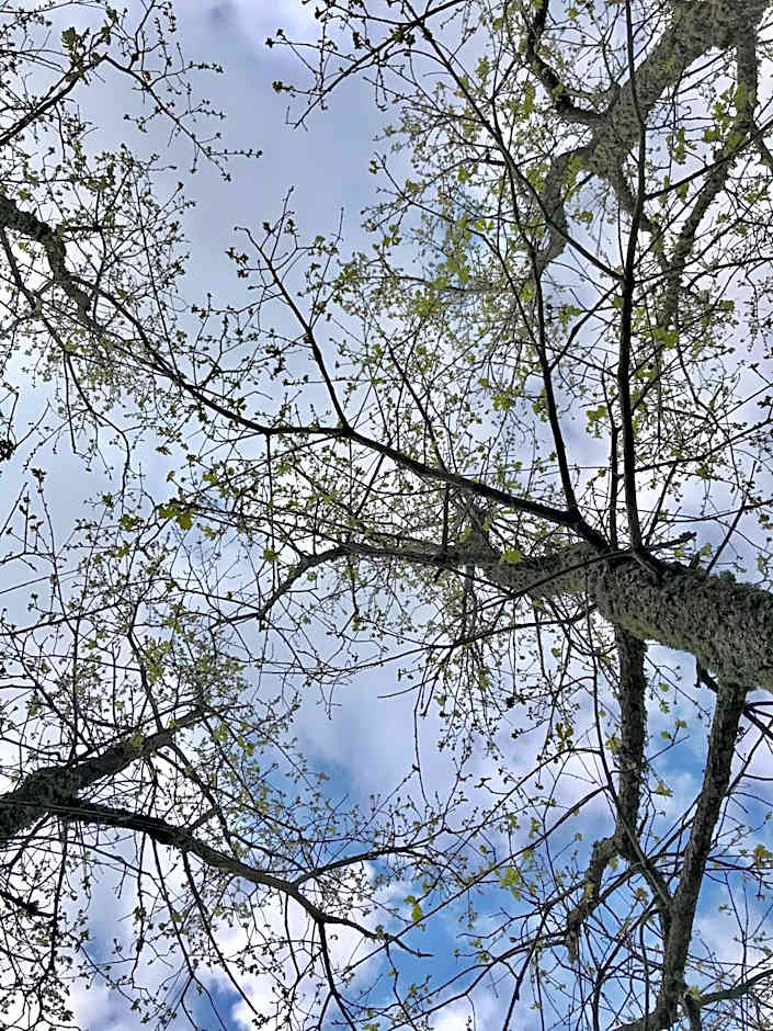 Vald'arêgos - Douro