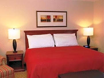 1 Bedroom King Suite