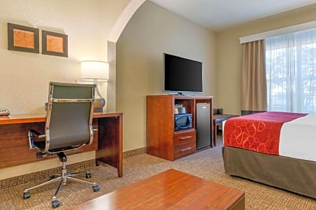 1 King Bed, Suite, Nonsmoking