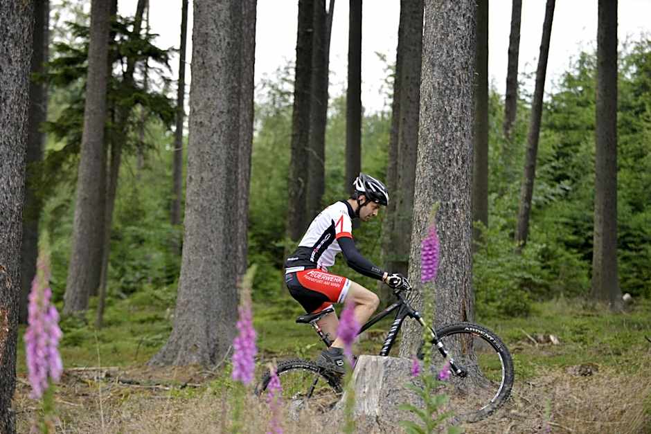 Landidyll Hotel Restaurant Birkenhof