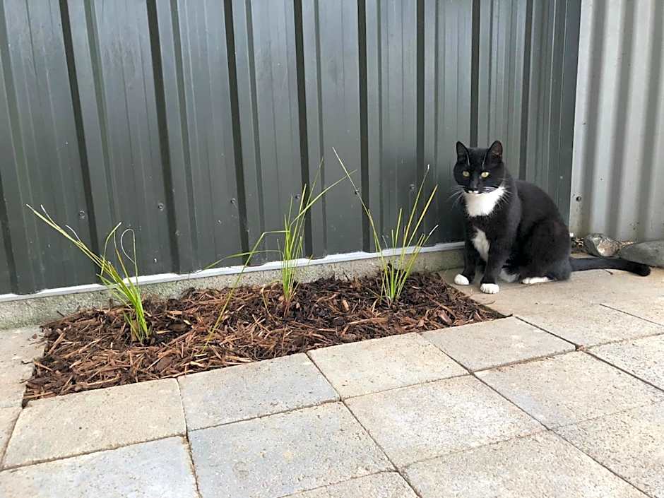 Cosy Country Stay B&B