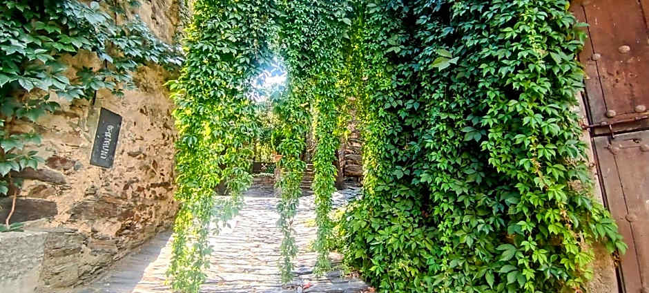 El Mirador de Las Jaras