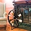 The Caribbean Court Boutique Hotel