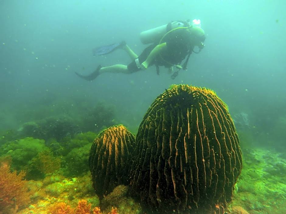 HAKS Boutique B&B with Pool & Farm-to-Table Dining