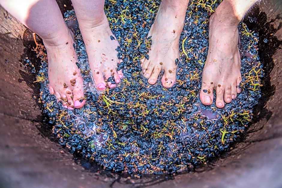 Excelsior Manor Guesthouse