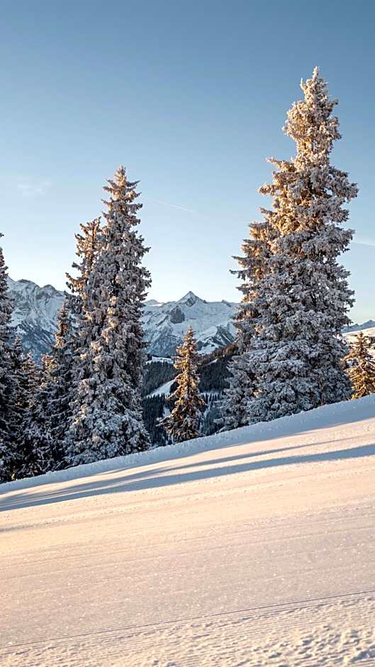 Berghotel Blaickner's Sonnalm