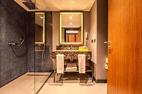 Deluxe Land View Single