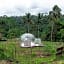 Romantic Bubble Dome Ubud