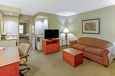 One-Bedroom King Suite - Non-Smoking