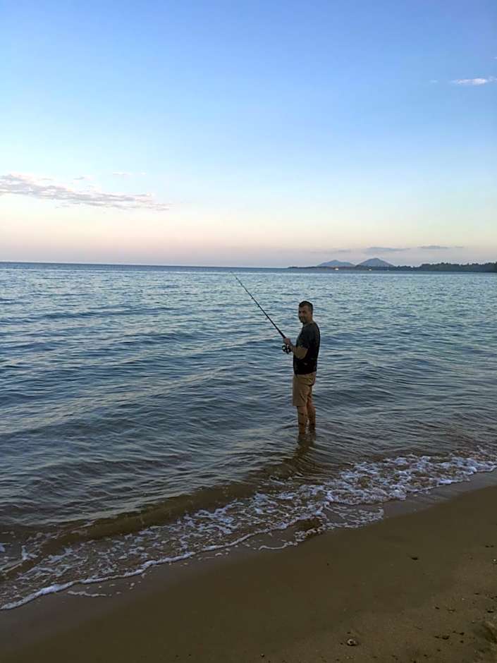 Jackaroo Treehouse Rainforest Retreat