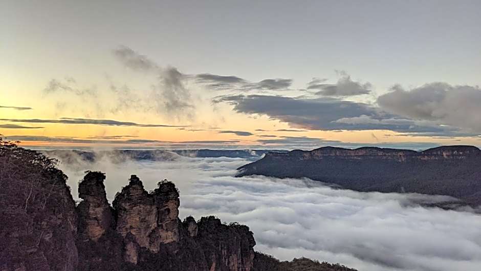 Flying Fox Backpackers
