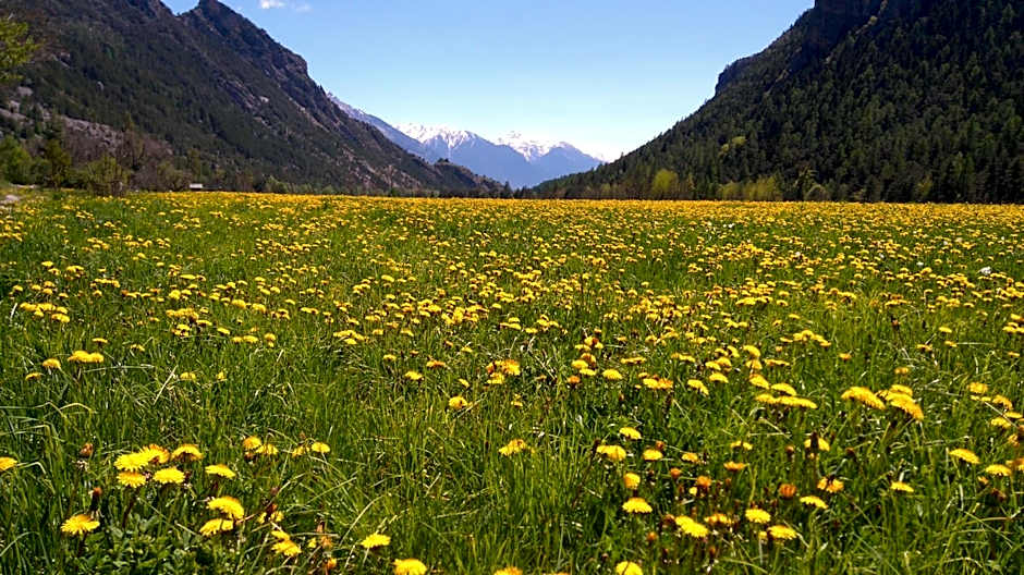 Hôtel Restaurant Gîtes Les 5 Saisons