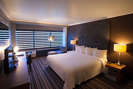 King Premier Room, 1  king bed