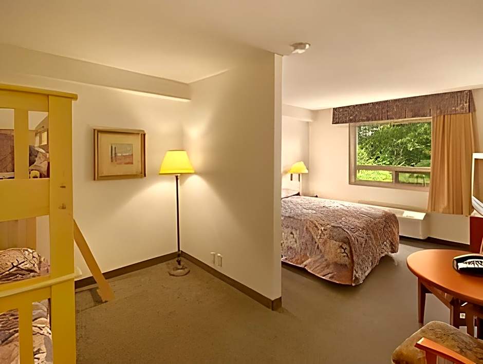 Comfort Inn & Suites Langley
