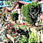 Kasauli Nature Inn