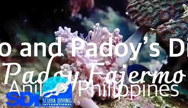 PamAnilao and Padoy's Dive Camp