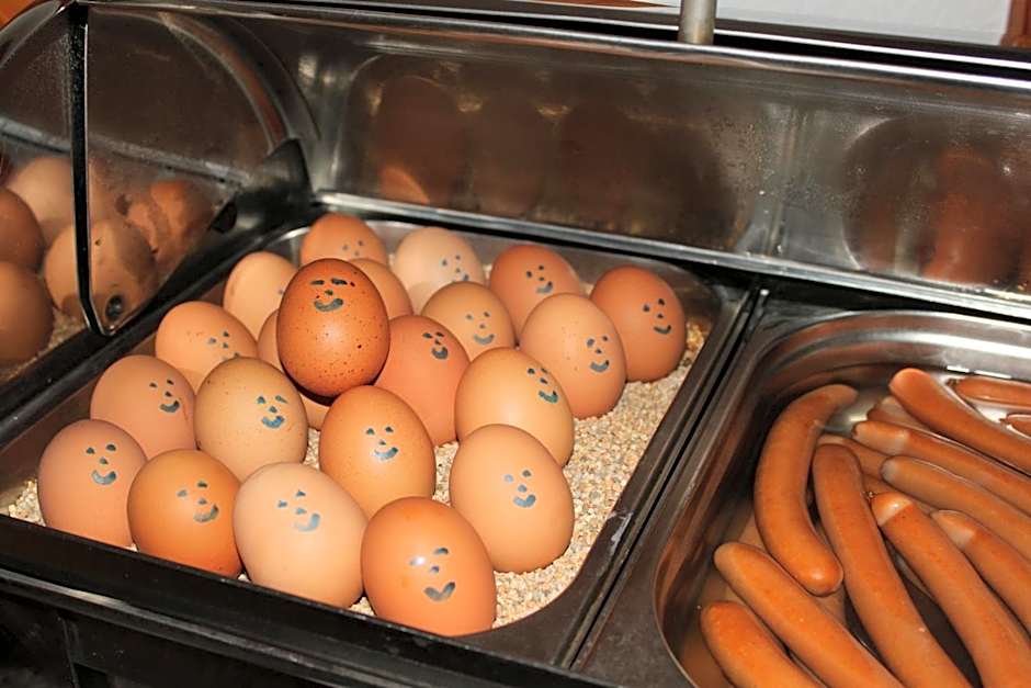 Hotel Sächsischer Hof