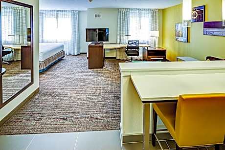 Studio, 1 King Bed with Sofa bed (1 King Bed and 1 Double Sofa Bed)