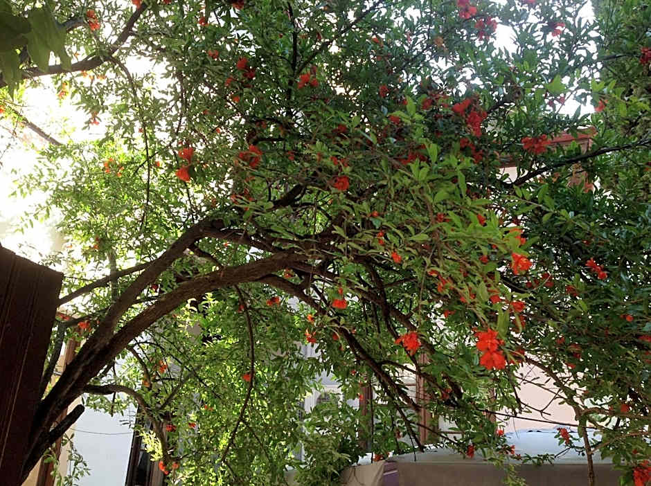 Konak Hotel Kaleiçi