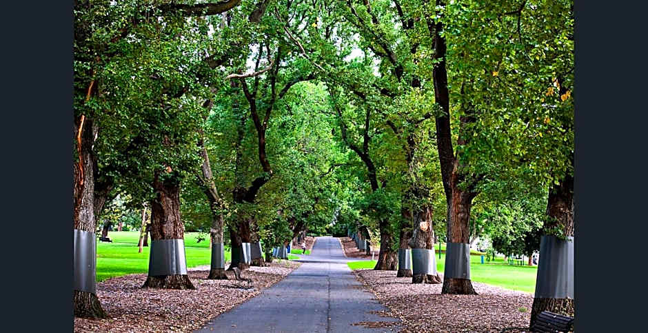 Knightsbridge Apartments