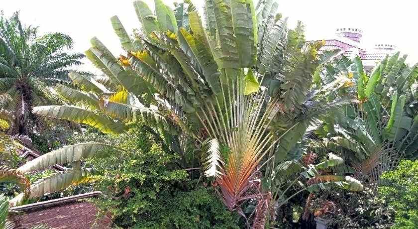 Thao Dien Boutique Hotel