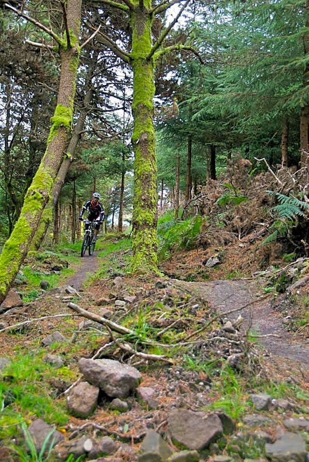 The Old Bank Bruff Family Town House