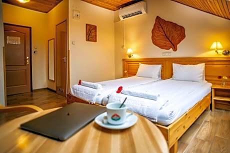 Hotel Manzard Panzio