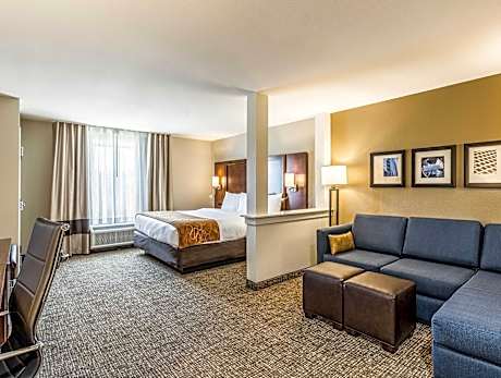 1 King Bed, Suite, Nonsmoking