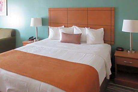 1 King Bed, No Smoking