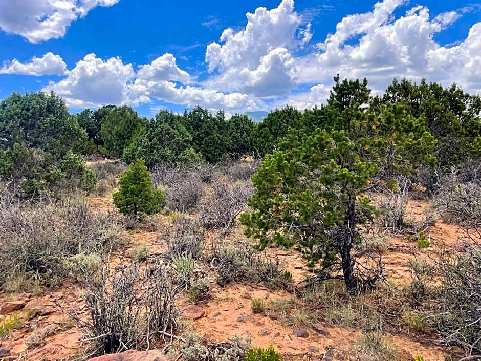 Blue Mountain Domes - The WOW Experience