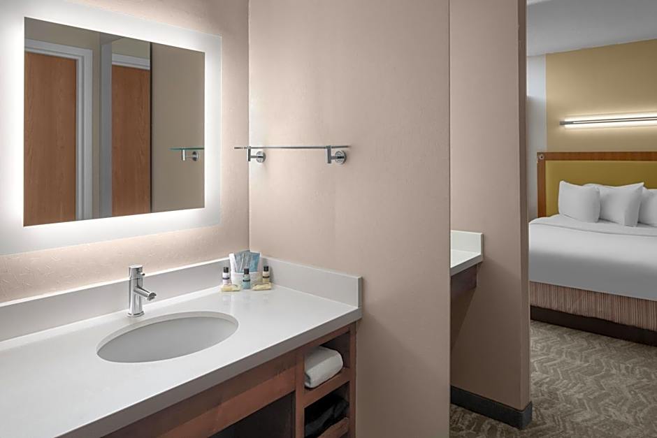 SpringHill Suites by Marriott Pittsburgh Southside Works