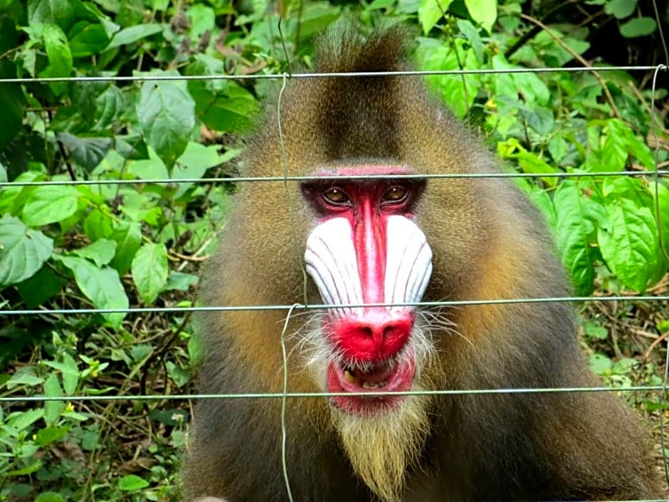 Hilton Yaounde Hotel