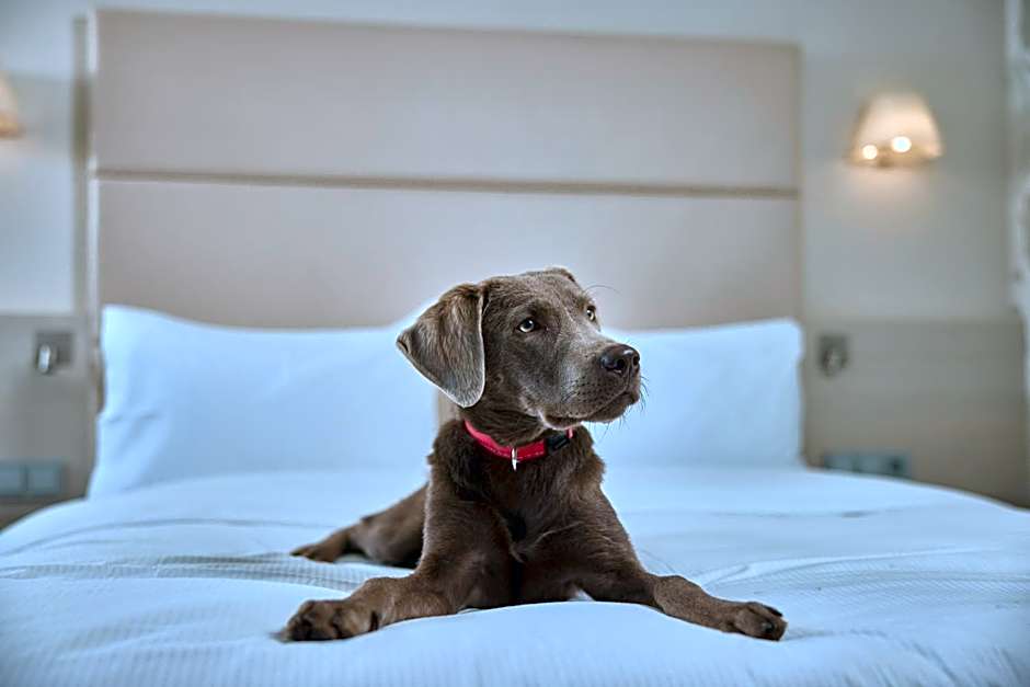 DoubleTree by Hilton Hannover Schweizerhof