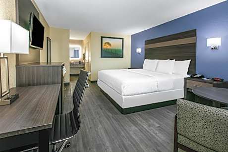 King Room with Roll-In Shower - Mobility Accessible/Smoking