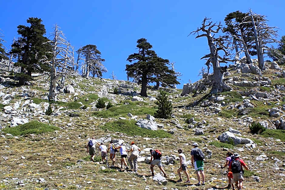 Il Borgo Ospitale - Albergo Diffuso