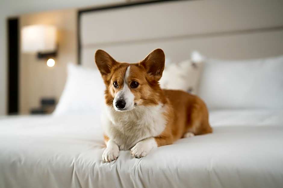 Mont Gabriel, Sainte-Adele, a Tribute Portfolio Resort