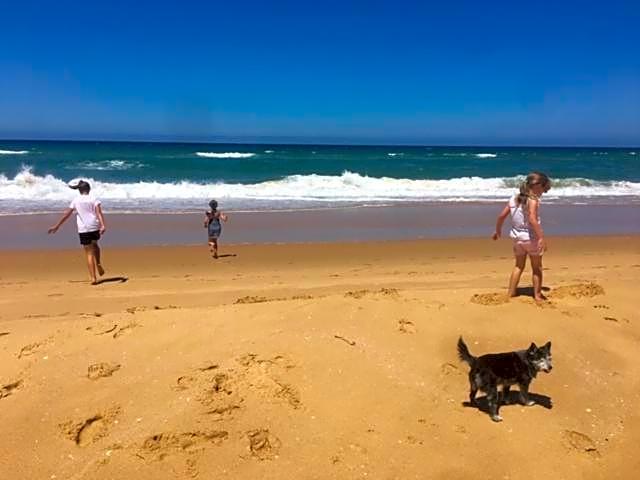 Nicholson BnB and Arts Centre