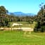 Aashay Country Stay