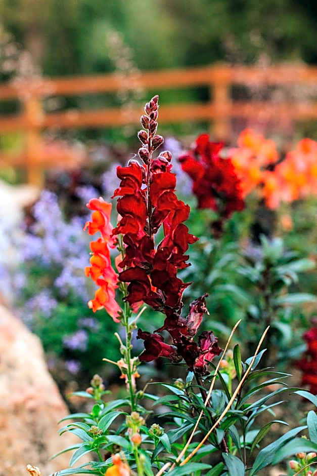 Pine River Ranch B&B