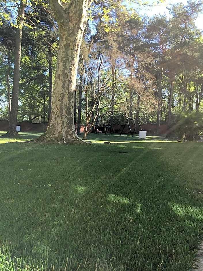 Bed&Garden